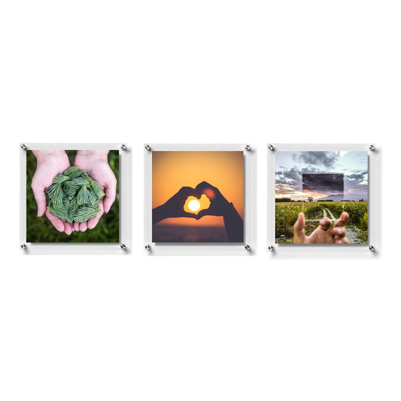Wexel Art Gallery Wall Double Panel Acrylic Floating Frames Set of 3
